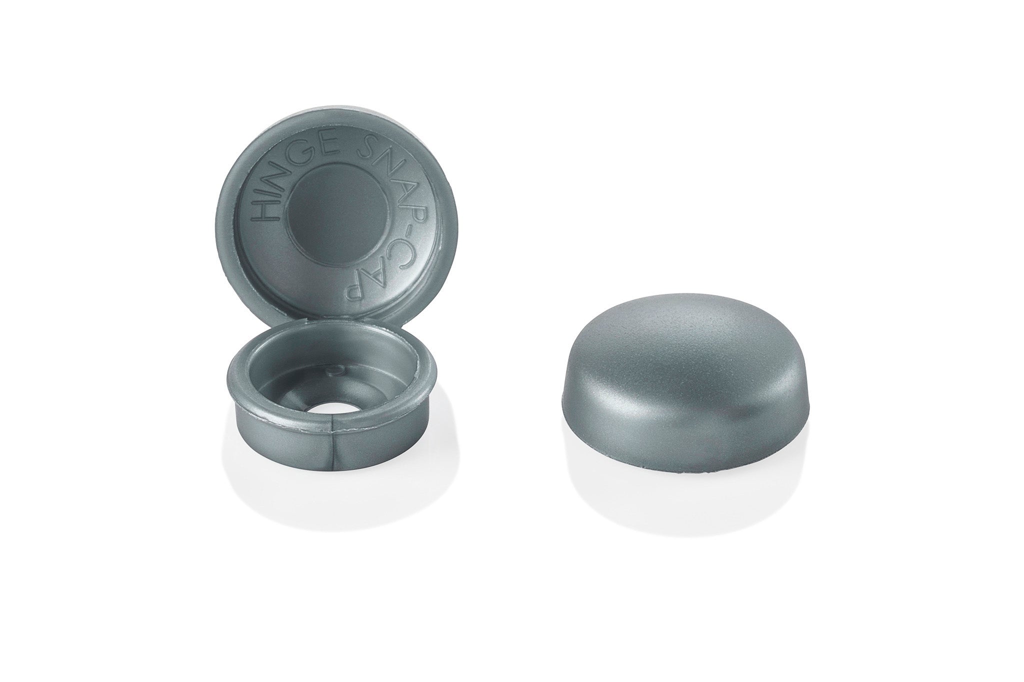 HNG-172 Silver Grey Hinge Snap-Caps Screw Covers Group