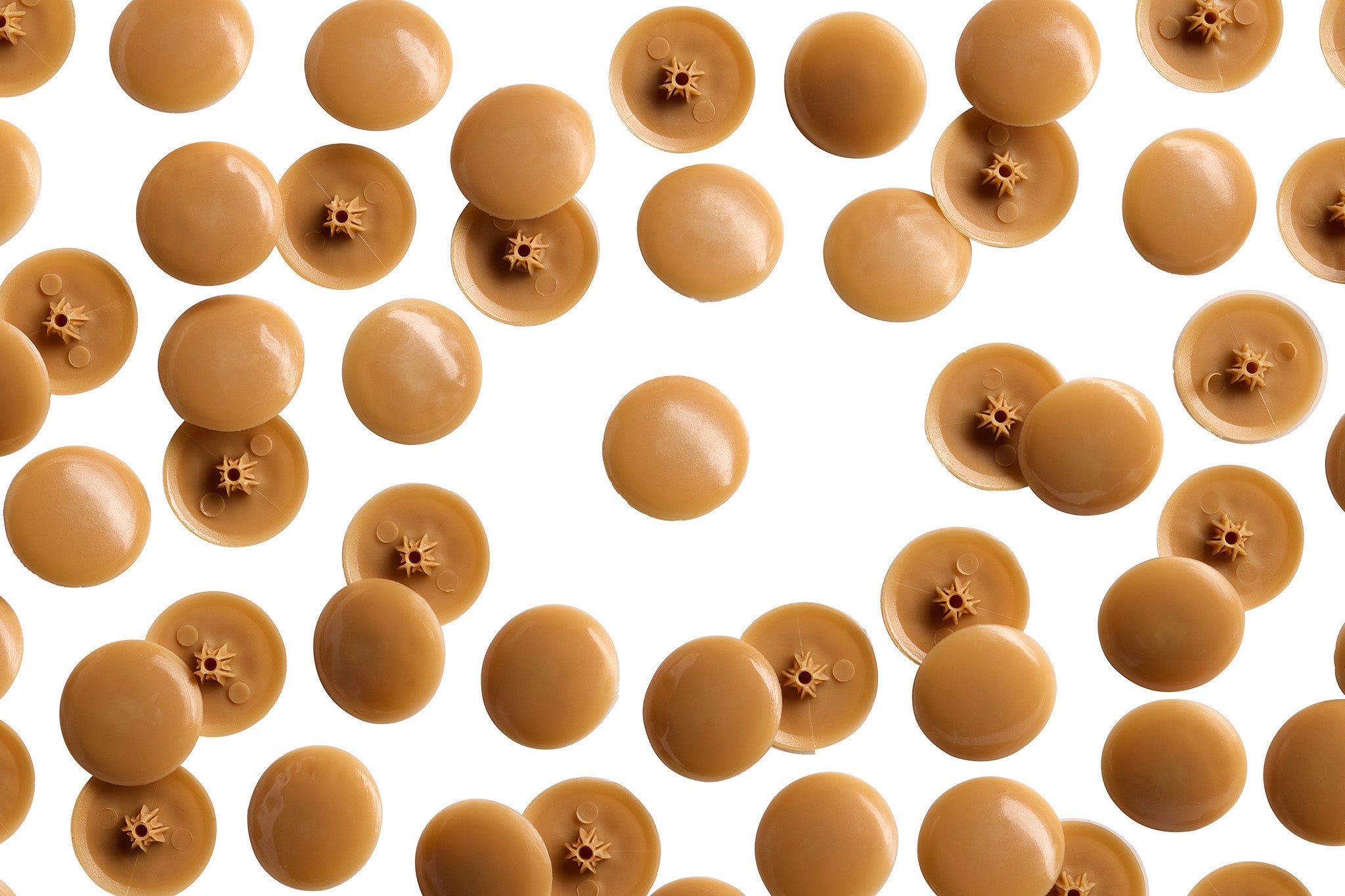 TC2- 128 Honeymaple Tap-Caps Press-on Screw Covers Overhead
